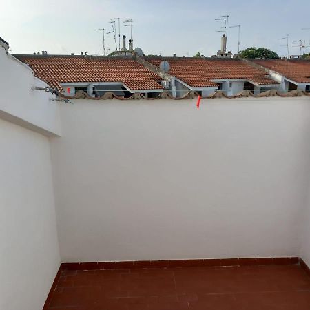 דירות Marina di Cerveteri Roma A Un Passo E Il Mare In Casa מראה חיצוני תמונה