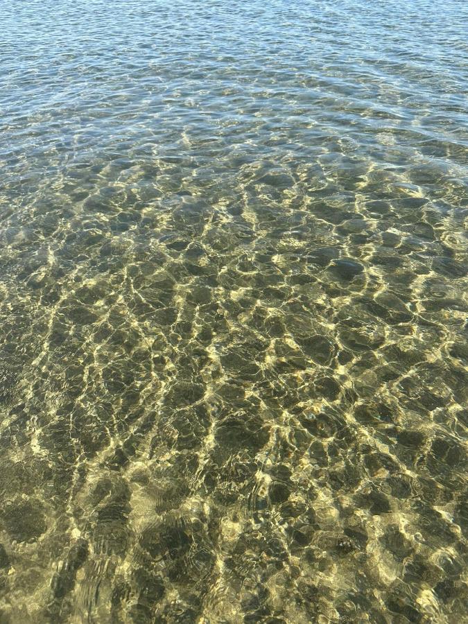 דירות Marina di Cerveteri Roma A Un Passo E Il Mare In Casa מראה חיצוני תמונה